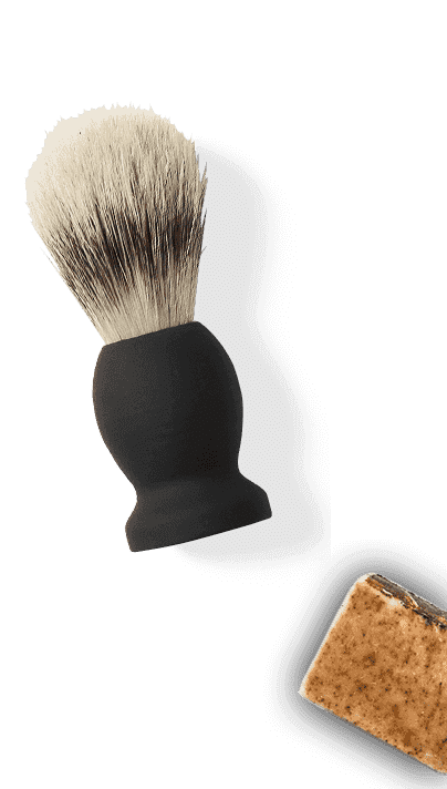 brush brush