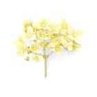 Método Guiza, diagnóstico personalizado. Cristina Torrecilla Centro de Estética en Huesca