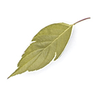 Método Guiza, productos y cosmética natural. Cristina Torrecilla Centro de Estética en Huesca