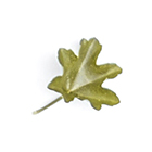 Método Guiza, quiromasajistas diplomadas. Cristina Torrecilla Centro de Estética en Huesca