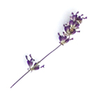 Método Guiza, un espacio para desconectar. Cristina Torrecilla Centro de Estética en Huesca